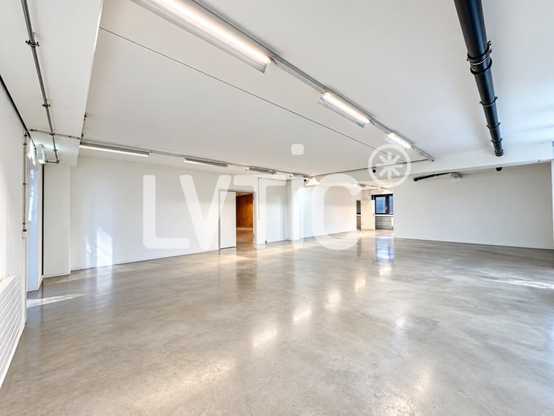 Locaux, production, dépôt, bureaux de 330 m2 à louer à Nyon (2)