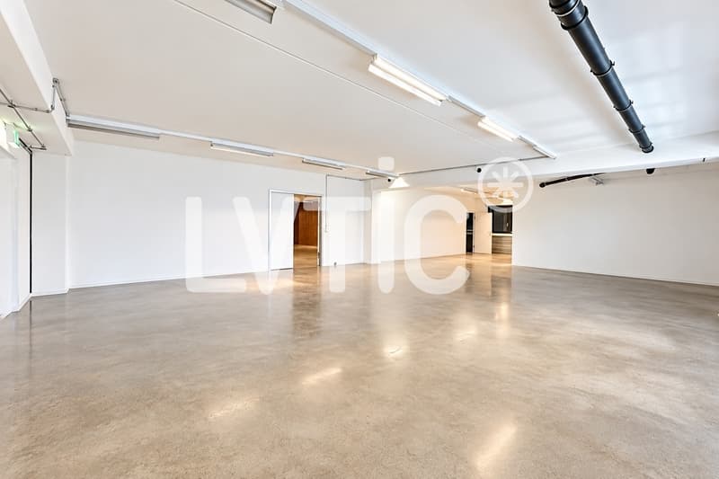 Locaux, production, dépôt, bureaux de 330 m2 à louer à Nyon (7)
