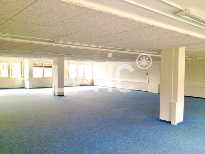 Uffici, locali di 125 m2 in affitto a Crissier (5)