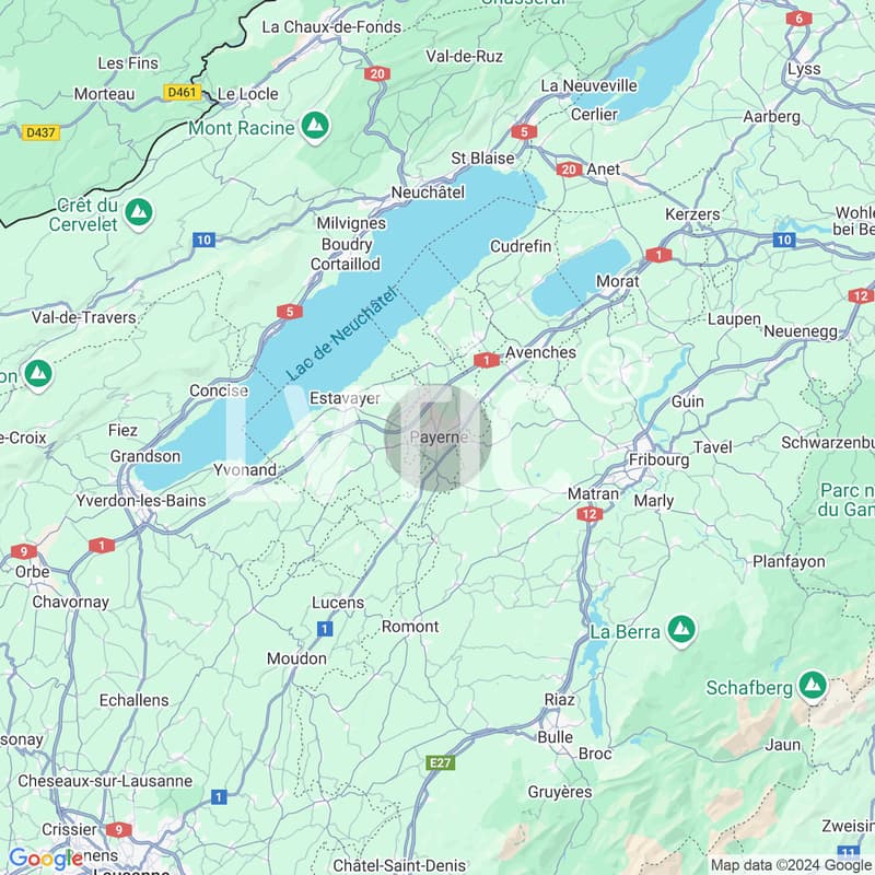 Industrial land of 50,000 m2, divisible, for sale in Payerne (3)