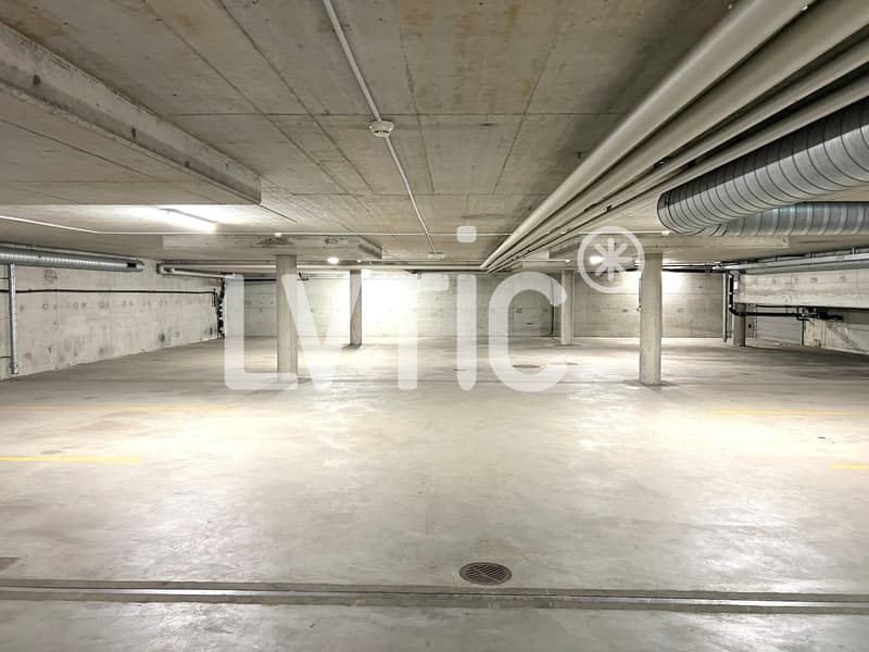 Magazzino di 2200 m2, divisibile da 1500 m2 in affitto a Meyrin - Satigny (9)