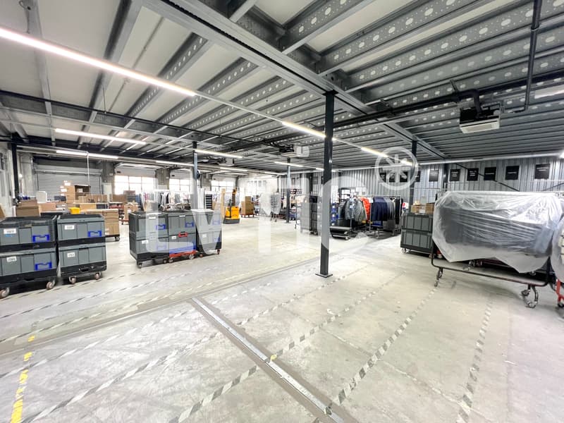 Magazzino di 2200 m2, divisibile da 1500 m2 in affitto a Meyrin - Satigny (5)