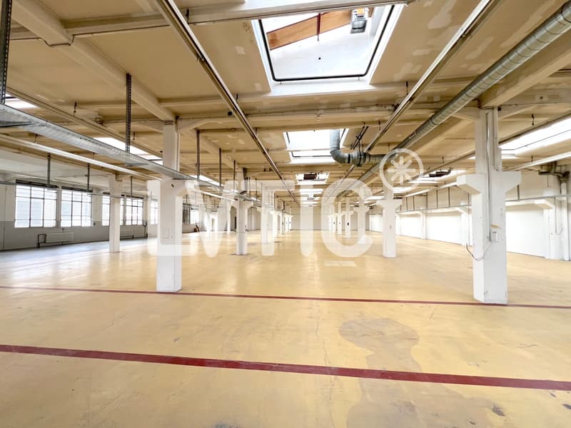 Workshops, warehouses, rooms of 1370 m2 for rent in Cossonay (5)