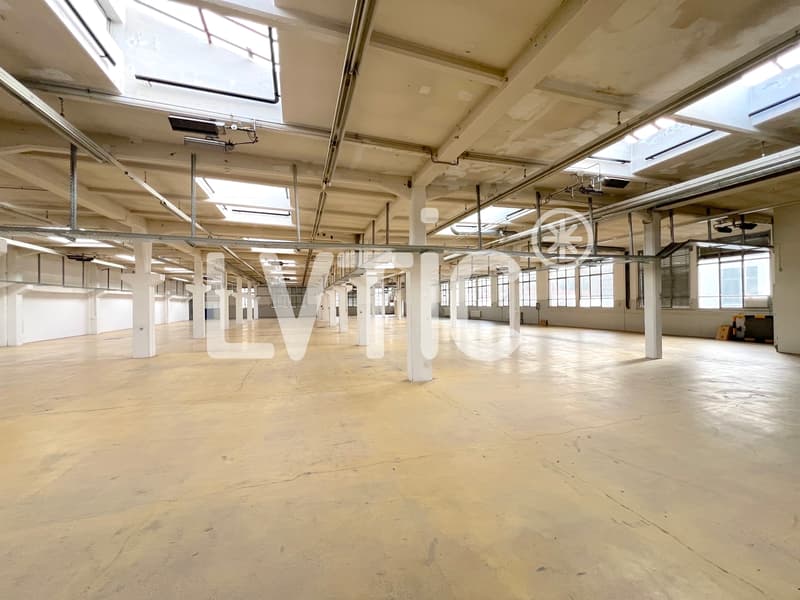 Workshops, warehouses, rooms of 1370 m2 for rent in Cossonay (6)