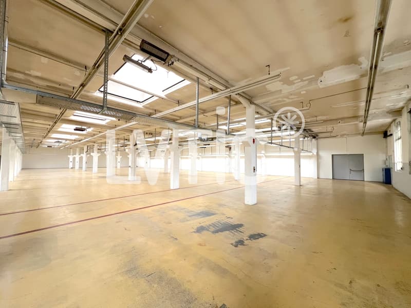 Workshops, warehouses, rooms of 1370 m2 for rent in Cossonay (3)