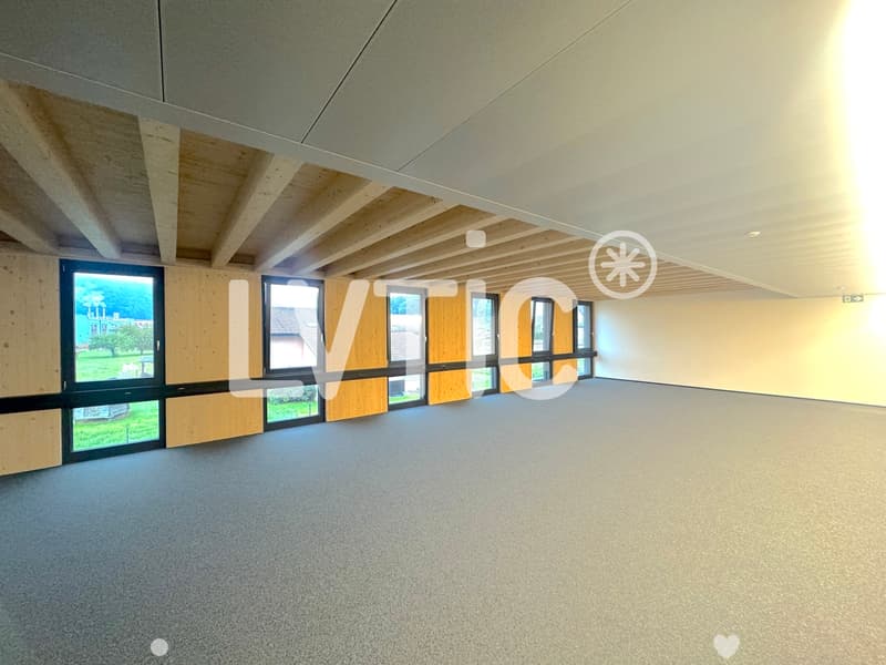 Lokale, Büros, Werkstätten von 236 m2 zur Miete in Châtel-St-Denis (1)