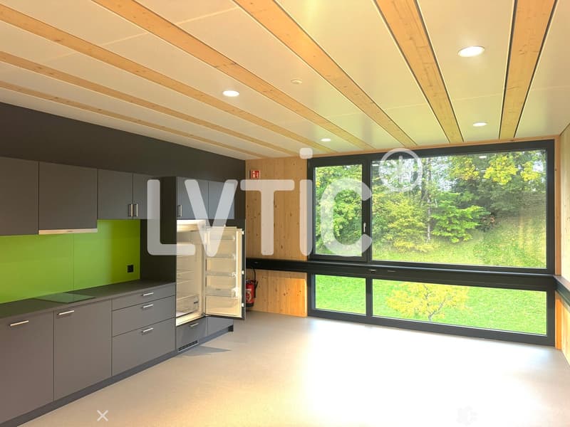 Lokale, Büros, Werkstätten von 236 m2 zur Miete in Châtel-St-Denis (2)