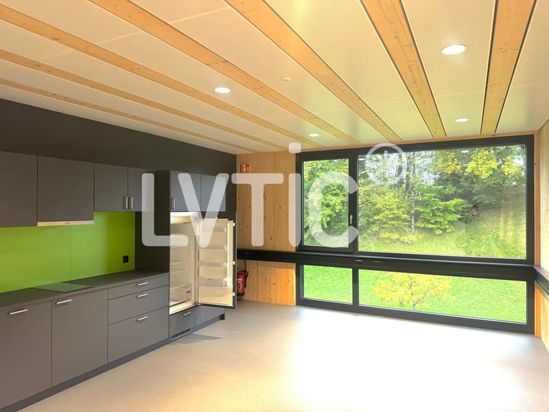 Locali, uffici, laboratori di 236 m2 in affitto a Châtel-St-Denis (2)