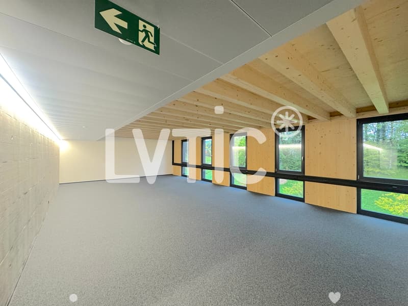 Lokale, Atelier, Büros von 245 m2 zur Miete in Châtel-St-Denis (1)