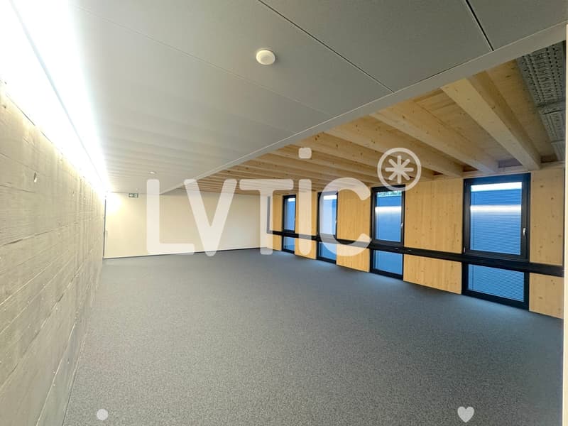 Lokale, Atelier, Büros von 245 m2 zur Miete in Châtel-St-Denis (3)