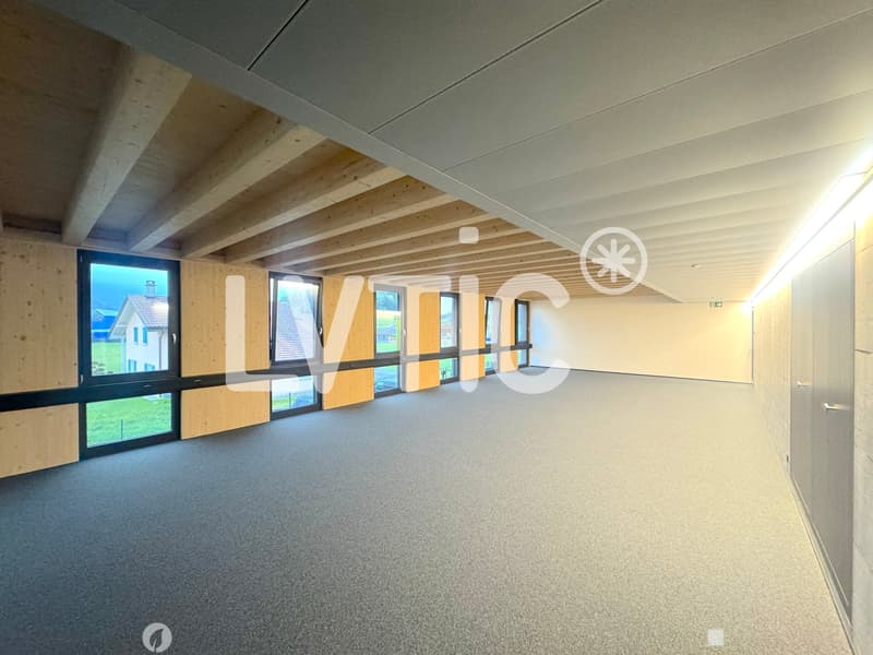 Lokale, Atelier, Büros von 245 m2 zur Miete in Châtel-St-Denis (4)