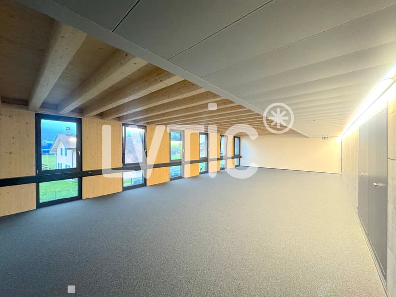 Lokale, Werkstatt, Büros von 245 m2 zur Miete in Châtel-St-Denis (4)