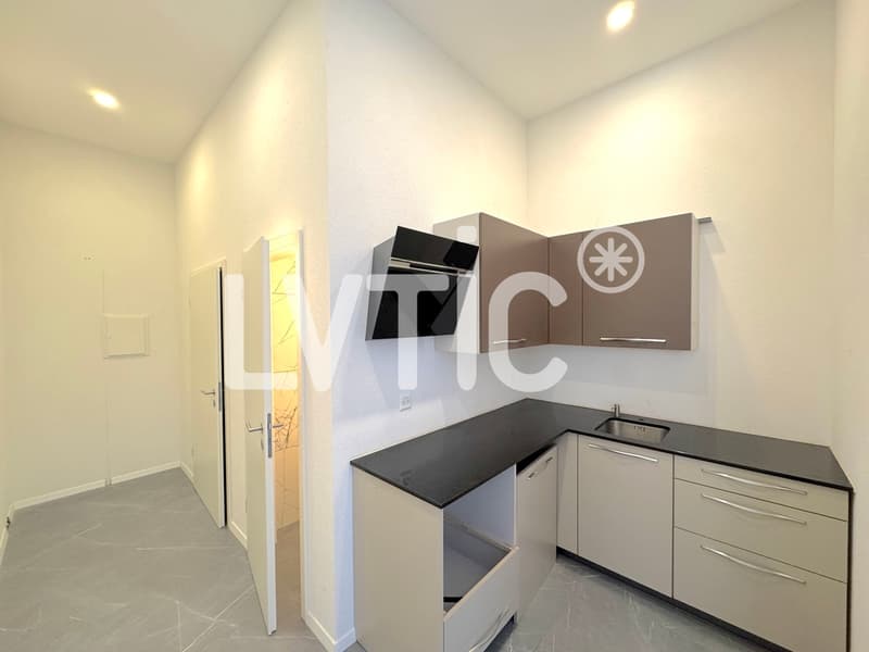 Showroom, locali, laboratorio di 225 m2 in affitto vicino a Villeneuve (5)