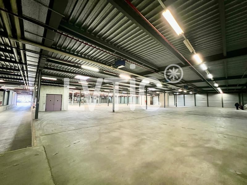 Magazzino logistico di 2200 m2 in affitto a Etoy (3)
