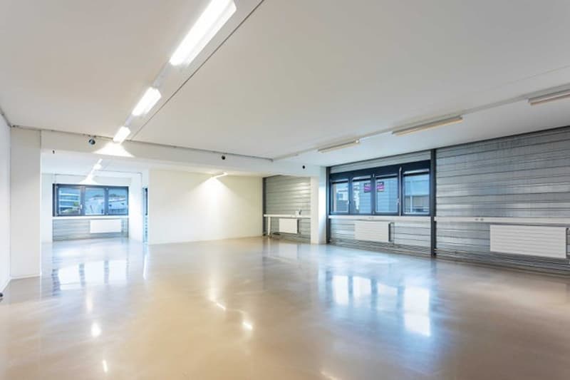 Laboratorio, studio, deposito, uffici di 700 m2 in affitto a Nyon (2)