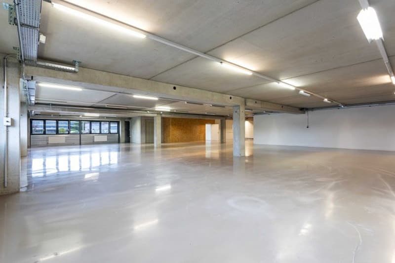 Laboratorio, studio, deposito, uffici di 700 m2 in affitto a Nyon (1)