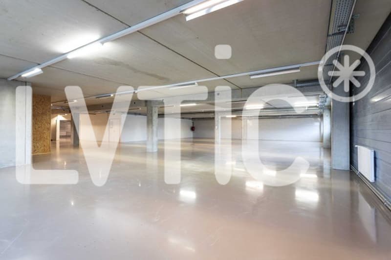 Atelier, laboratoire, dépôt, bureaux de 700 m2 à louer à Nyon (3)