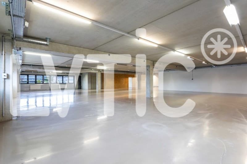 Atelier, laboratoire, dépôt, bureaux de 700 m2 à louer à Nyon (1)