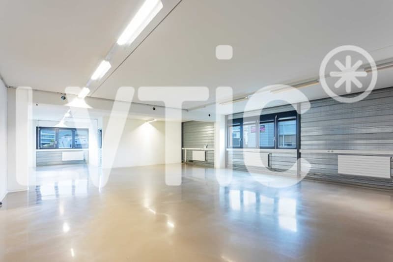 Atelier, laboratoire, dépôt, bureaux de 700 m2 à louer à Nyon (2)