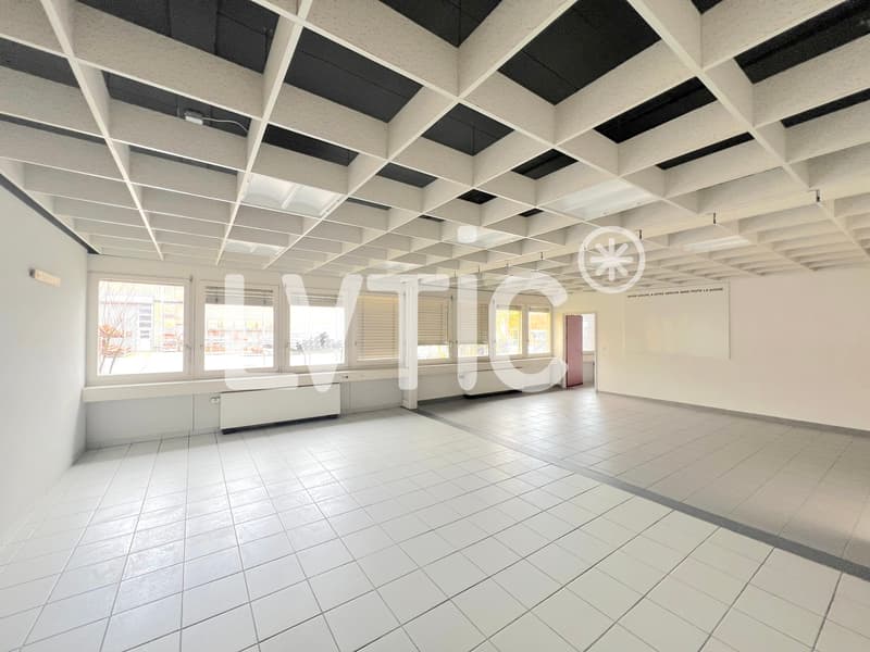 Halle für Industrie, Büros und Außenflächen zur Miete in Aigle (8)