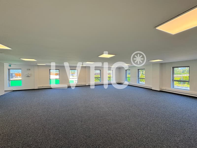 Büros, Lokale von 166 m2 zur Miete in Villeneuve - Rennaz (2)