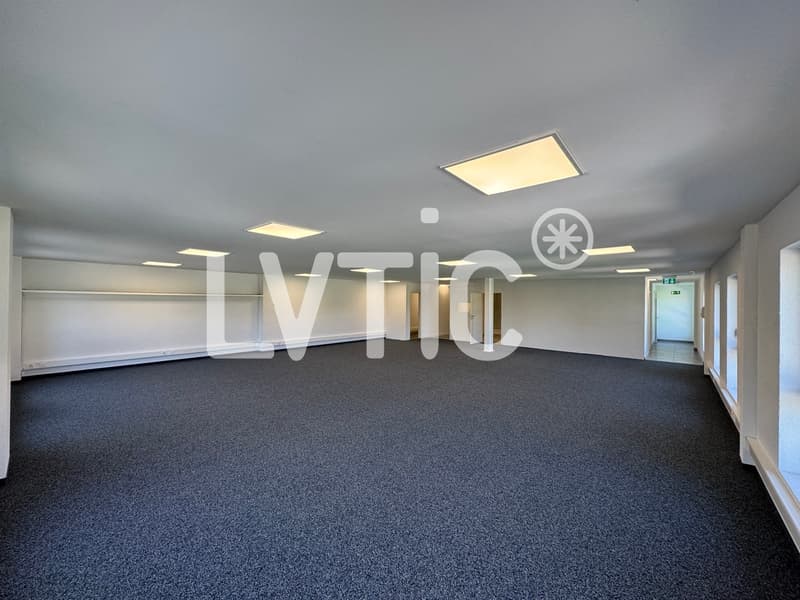 Büros, Lokale von 166 m2 zur Miete in Villeneuve - Rennaz (4)
