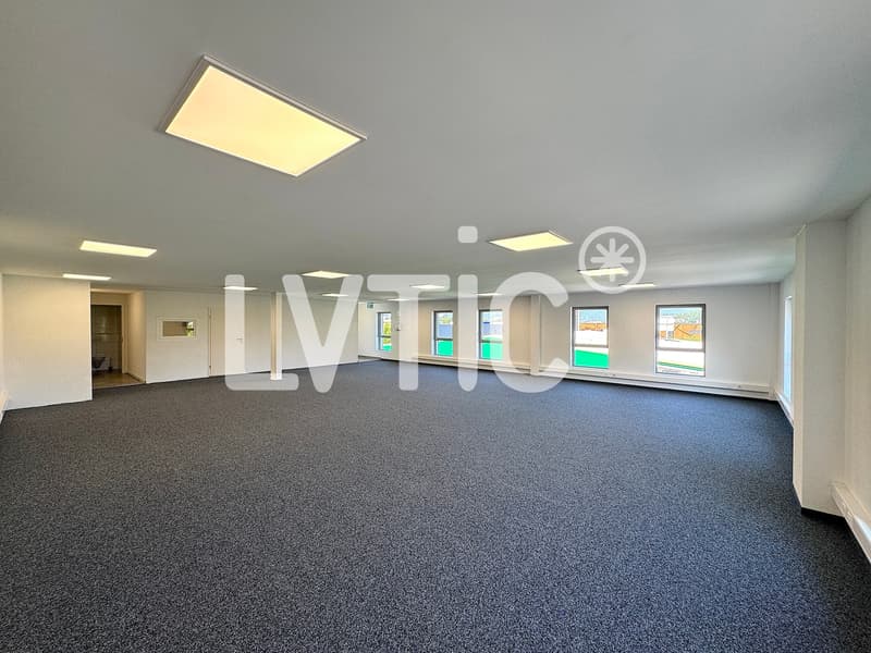 Büros, Lokale von 166 m2 zur Miete in Villeneuve - Rennaz (3)