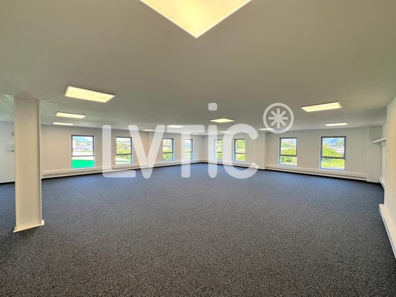 Büros, Lokale von 166 m2 zur Miete in Villeneuve - Rennaz (1)