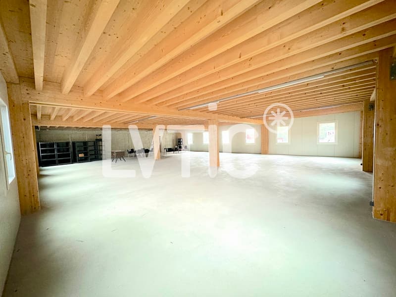 Edificio industriale di 1800 m2 su un terreno di 1680 m2 in vendita a Sierre (9)
