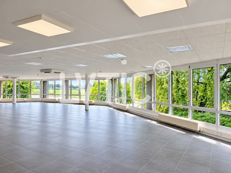 EXCLUSIVITÉ - Locaux de 640 m2 divisibles à louer à Crissier (7)