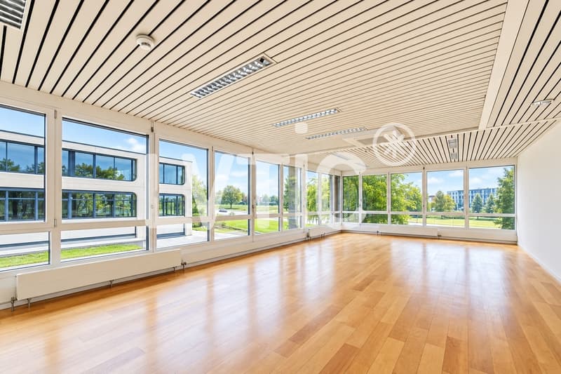 EXCLUSIVITÉ - Locaux de 640 m2 divisibles à louer à Crissier (8)