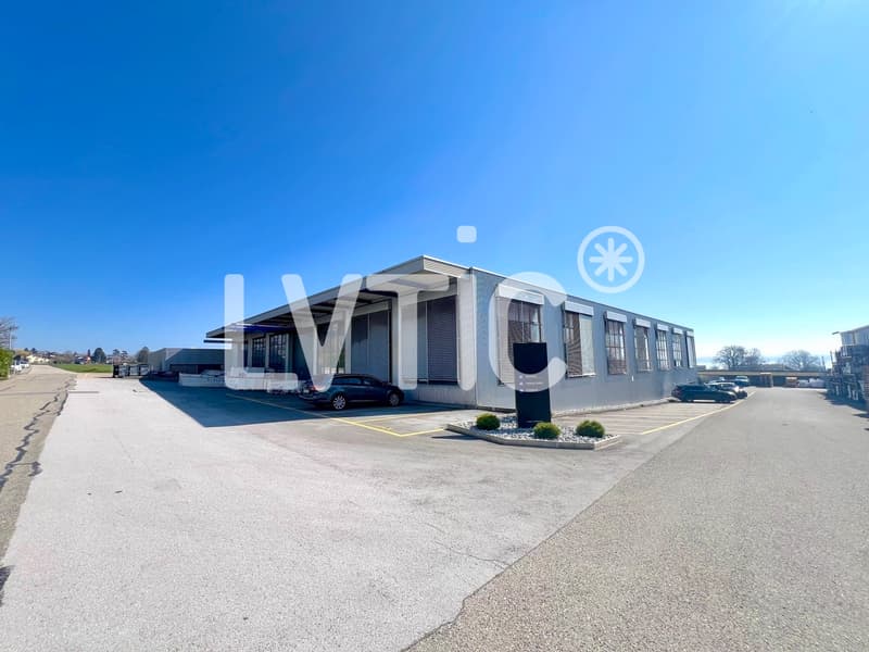 Halle, 3600 m2 di uffici su un terreno di 5000 m2 in vendita a Bevaix (4)