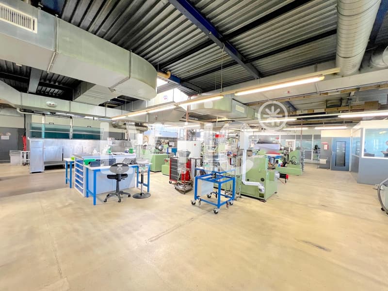 Capannone industriale 2800 m2 con uffici - Autostrada 2 minuti - Bevaix (NE) (7)