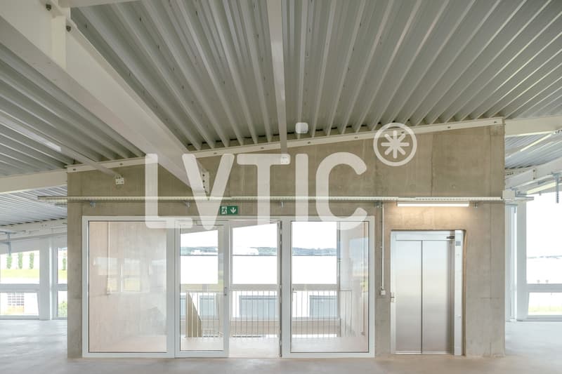 Bureaux de 800 m2 divisibles dès 300 m2 à louer à Chavornay (6)