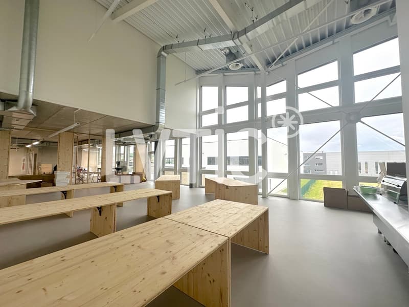 Bureaux de 800 m2 divisibles dès 300 m2 à louer à Chavornay (5)
