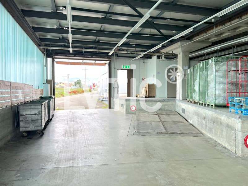 Locali, showroom, uffici di 325 m2 in affitto a Etoy (4)