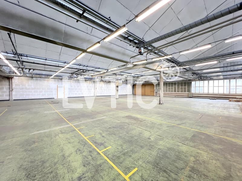 Deposit, 850 m2 workshop for rent in Crissier (3)