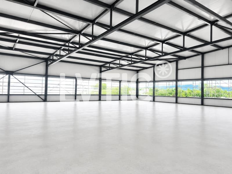 Capannone industriale, uffici di 6600 m2 divisibili in affitto a Domdidier (6)