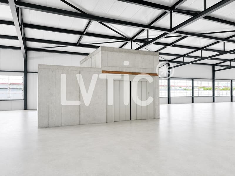 Capannone industriale, uffici di 6600 m2 divisibili in affitto a Domdidier (8)