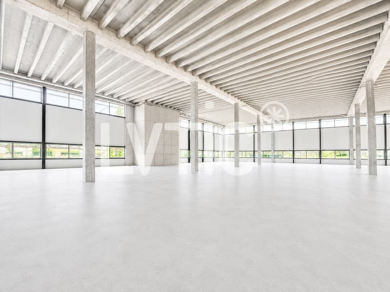 Capannone industriale di 3200 m2, divisibile in 1500 m2, in affitto a Domdidier (3)
