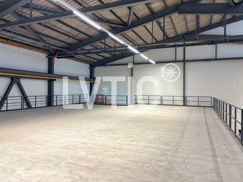Lager von 500 m2 zur Miete in Orbe (4)