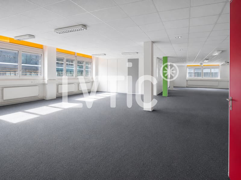 Ateliers, dépôts, bureaux de 760 m2 à louer à Renens (6)