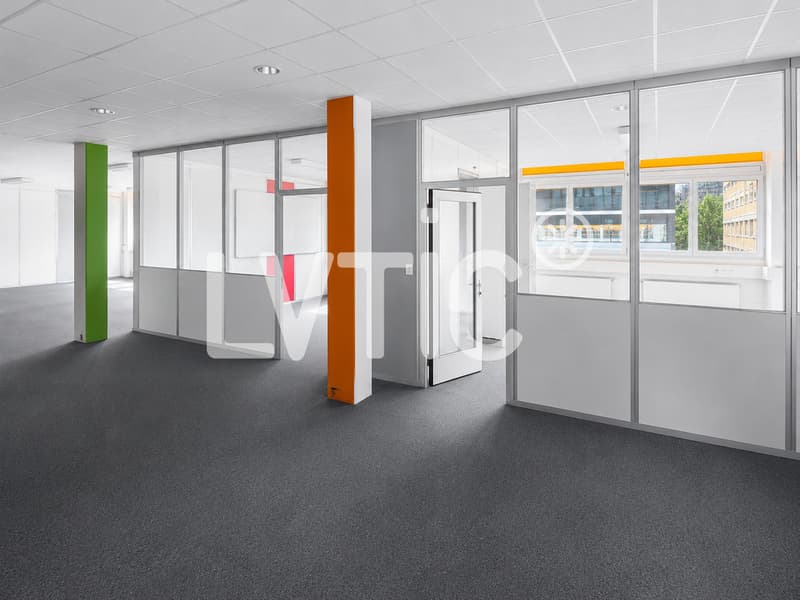 Ateliers, dépôts, bureaux de 760 m2 à louer à Renens (5)