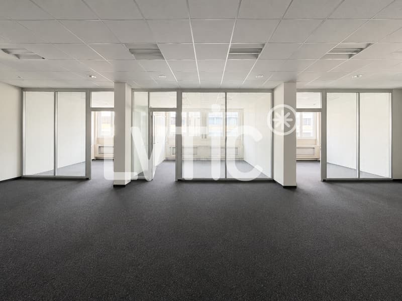 Ateliers, dépôts, bureaux de 760 m2 à louer à Renens (2)