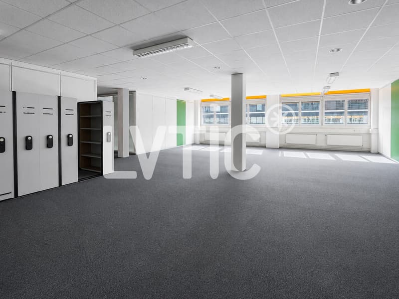 Ateliers, dépôts, bureaux de 760 m2 à louer à Renens (3)