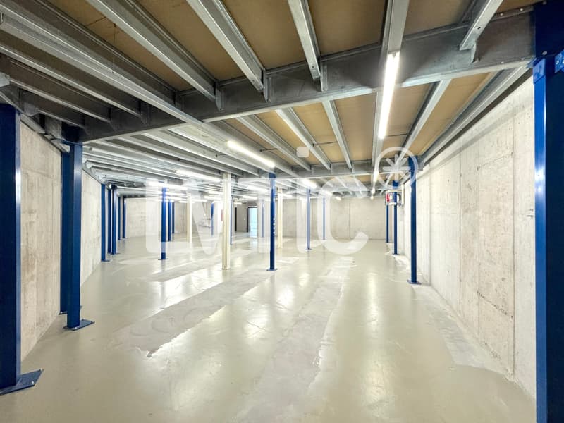 Locali, showrooms, magazzini di 1165 m2 in affitto a Yverdon (4)