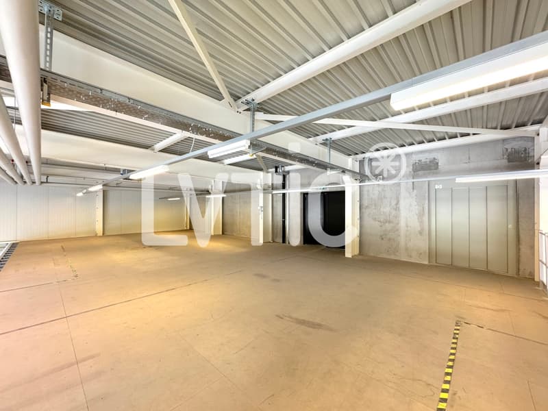 Locali, showrooms, magazzini di 1165 m2 in affitto a Yverdon (9)