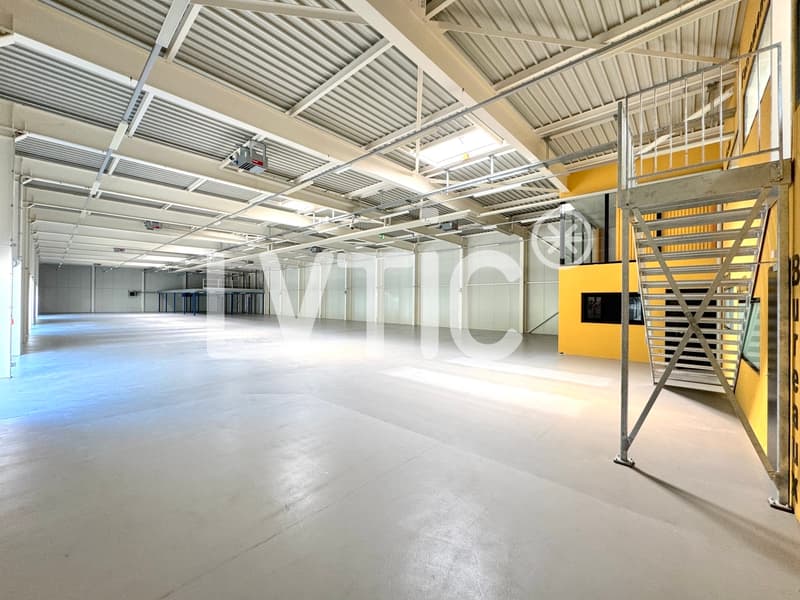Locali, showrooms, magazzini di 1165 m2 in affitto a Yverdon (3)