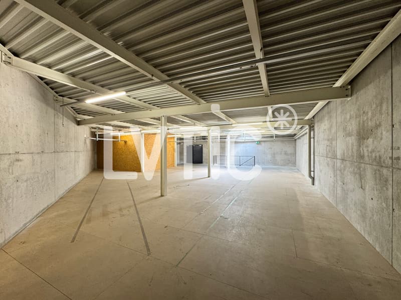 Locali, showrooms, magazzini di 1165 m2 in affitto a Yverdon (6)