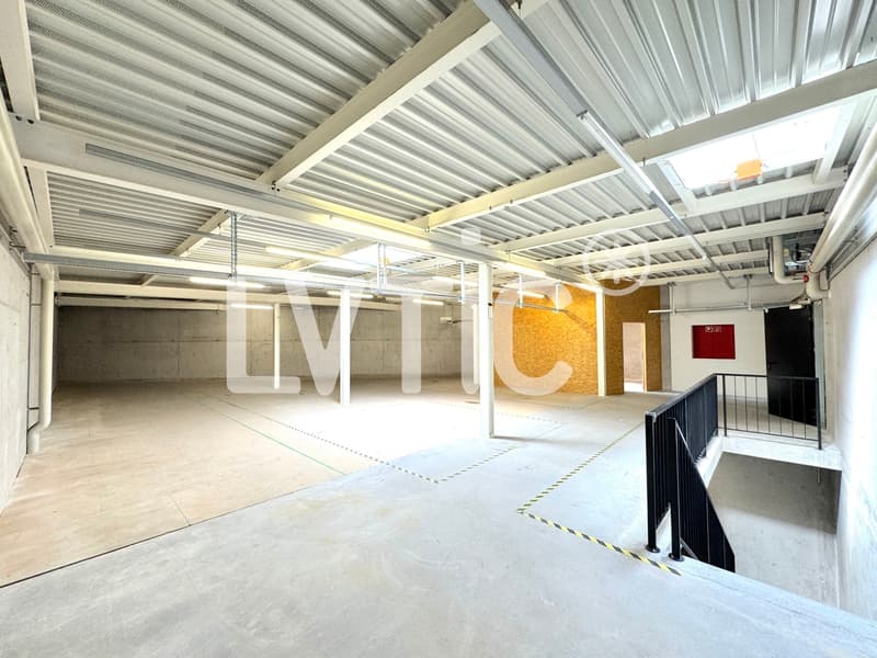 Locali, showrooms, magazzini di 1165 m2 in affitto a Yverdon (5)